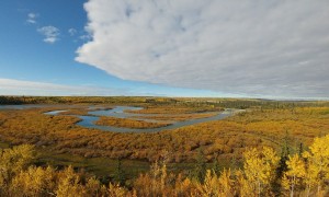 Fall Weaselhead