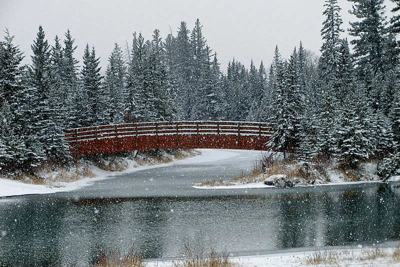 Weaselhead in the Winter by Yves Dansereau