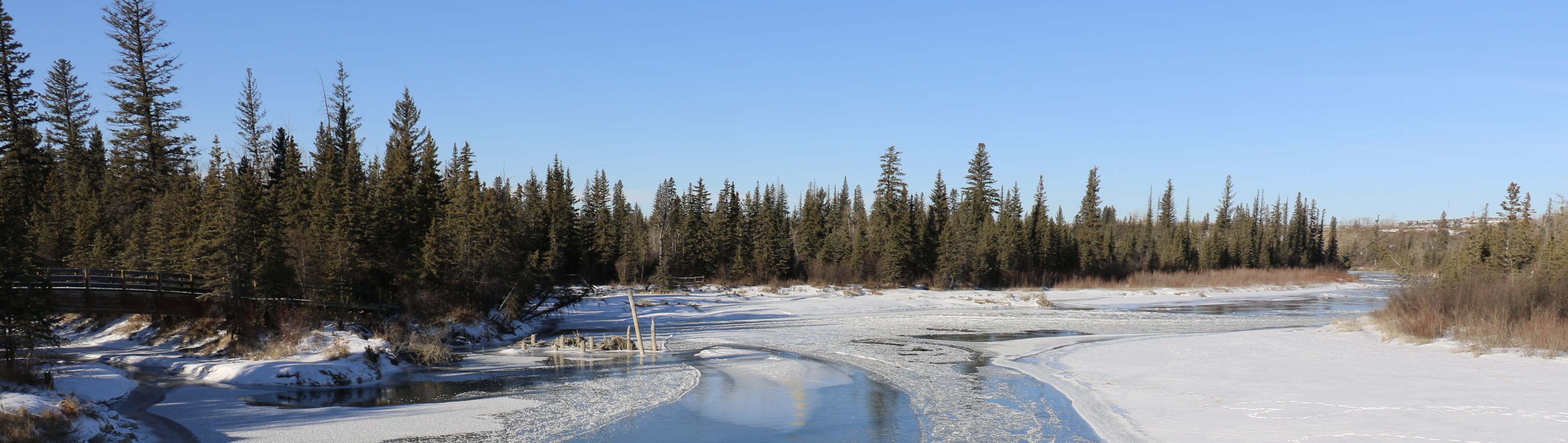 Weaselhead Preservation Society